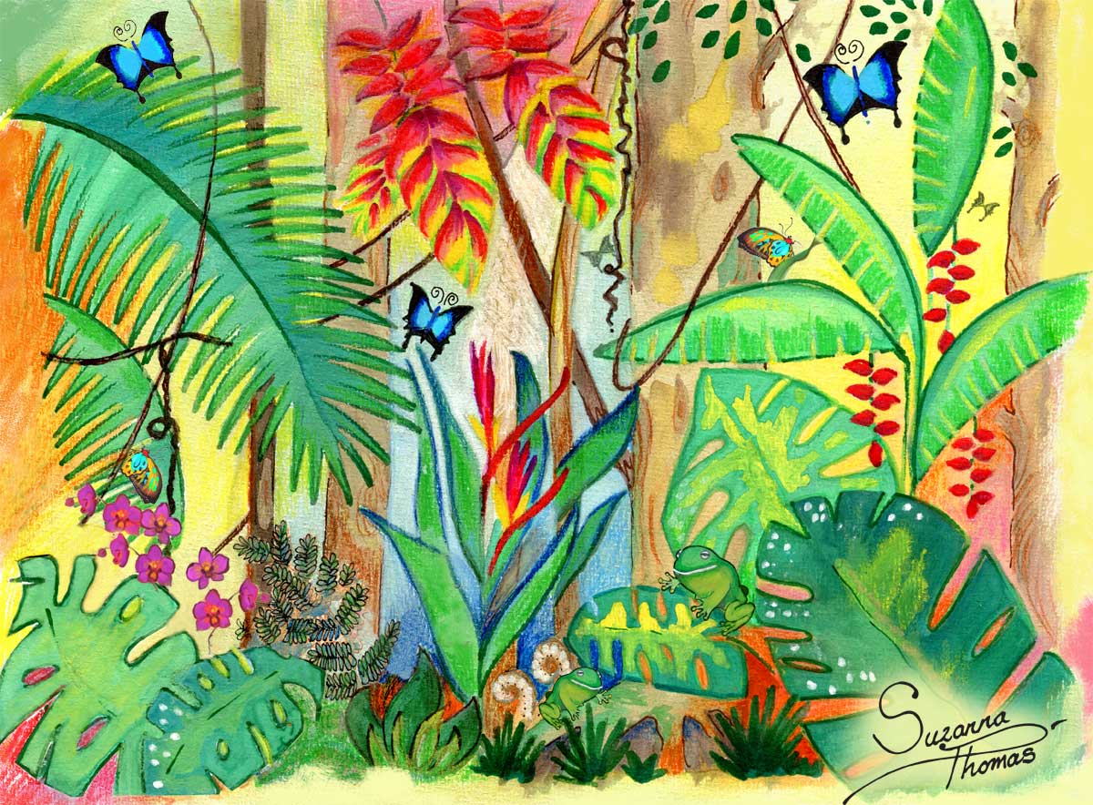 Artwork-Tropical-After